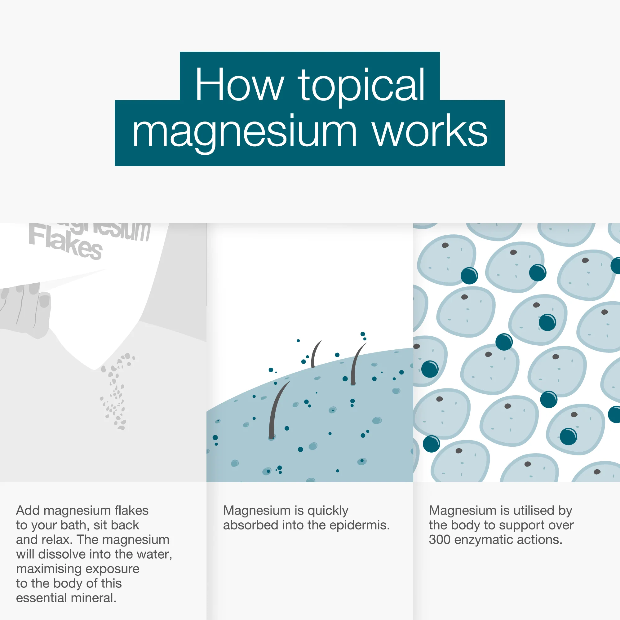 Magnesium Bundle - Image 2
